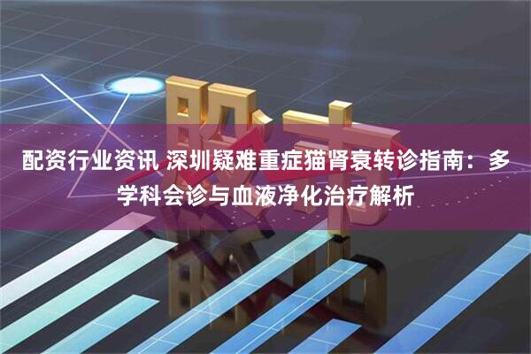 配资行业资讯 深圳疑难重症猫肾衰转诊指南：多学科会诊与血液净化治疗解析