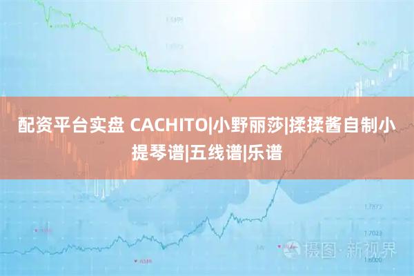 配资平台实盘 CACHITO|小野丽莎|揉揉酱自制小提琴谱|五线谱|乐谱