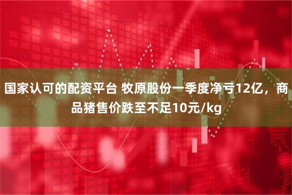 国家认可的配资平台 牧原股份一季度净亏12亿，商品猪售价跌至不足10元/kg
